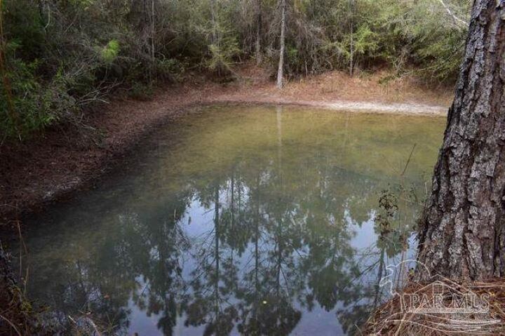 Property Photo: 0002 Pat Brown Rd FL 32570