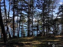 Property Photo: 1 Lot Thatcher Pass Road WA 98221