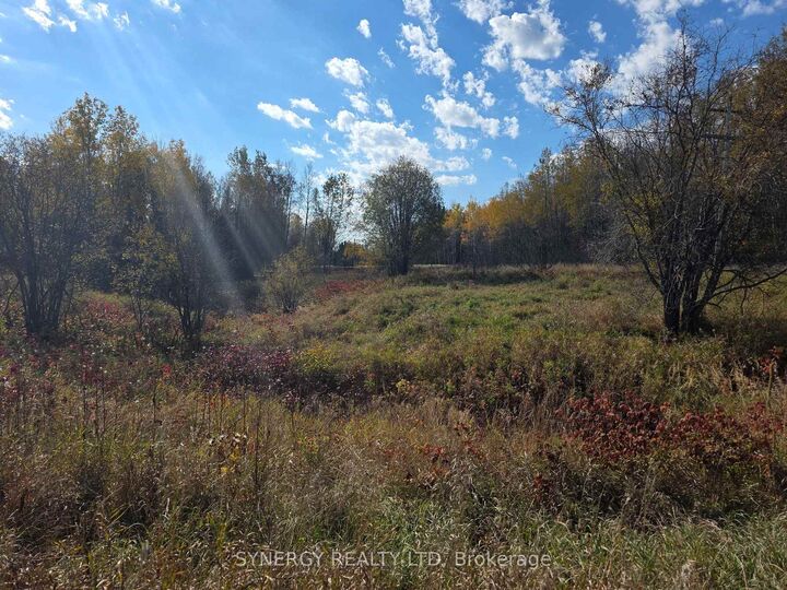 Property Photo:  Con 6 N Pt Lot 12 Road  ON P0K 1V0 
