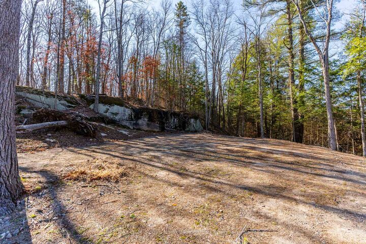 0 Boughner Road — photo 1