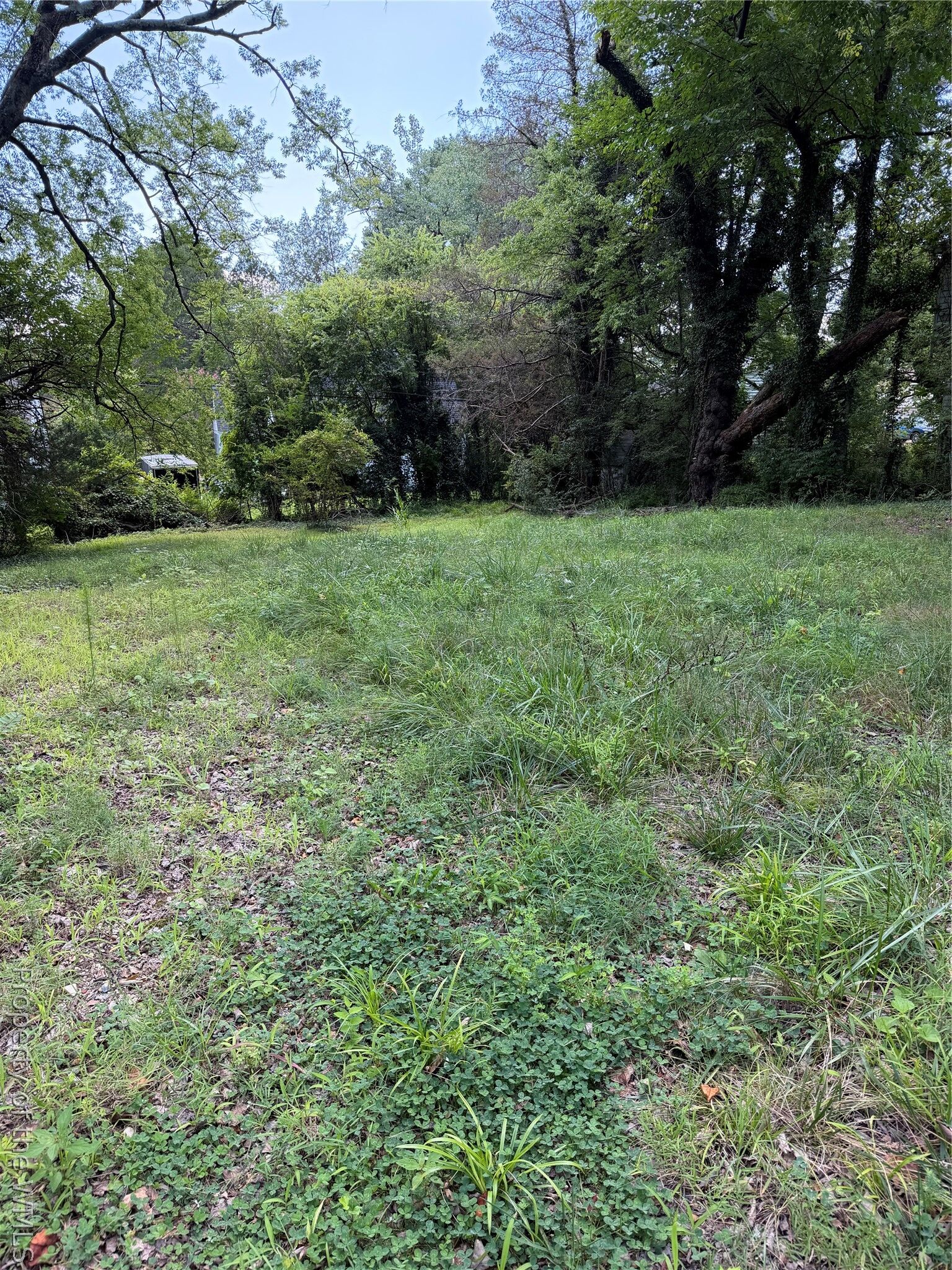 Property Photo:  706 Hamilton Street  VA 23185 