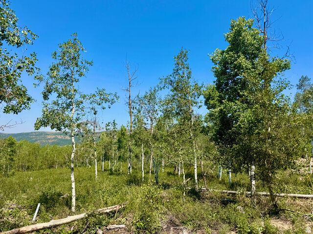 Property Photo:  10775 E Tanglewood Dr 631  UT 84032 