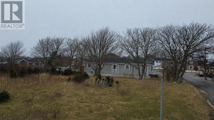 Property Photo:  4 Butt Street  NL A0E 1W0 