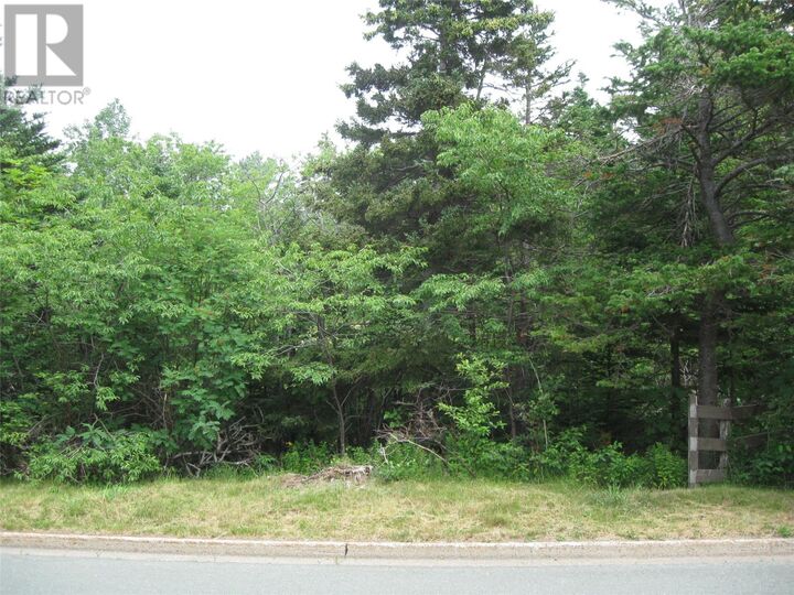 Property Photo:  53 B Lawrence Pond Road East  NL A1X 4C6 