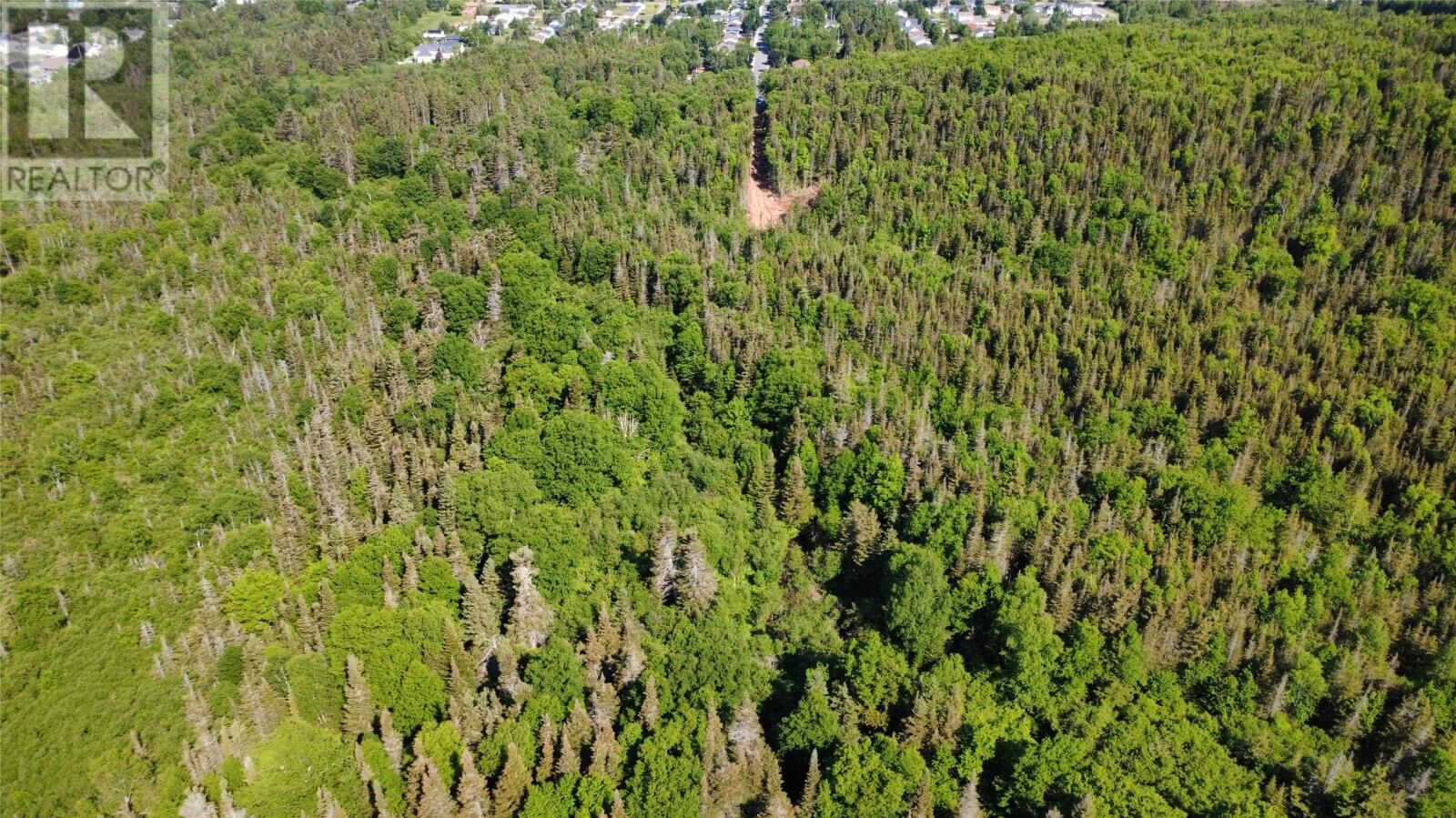 Property Photo:  40-60 Tamarack Avenue  NL A0L 1K0 