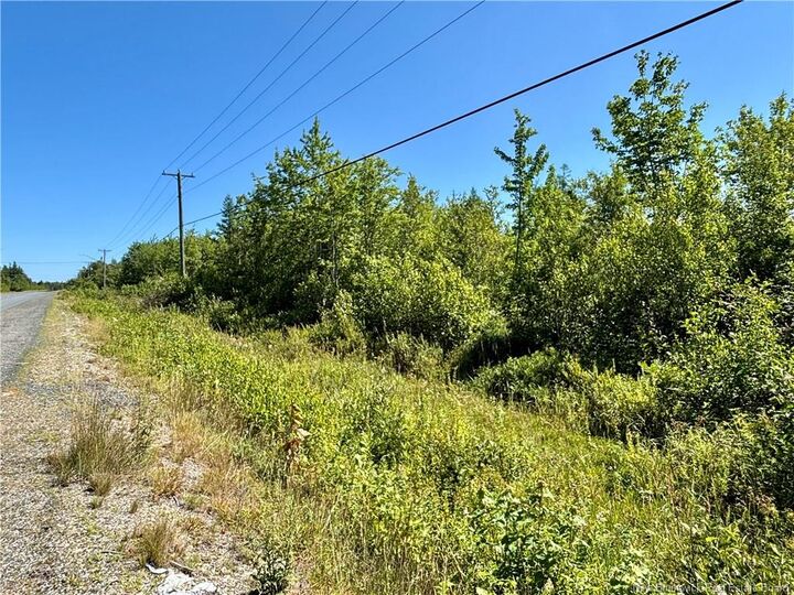 Property Photo:  2.06 Acres Rte 117  NB E1N 5M8 