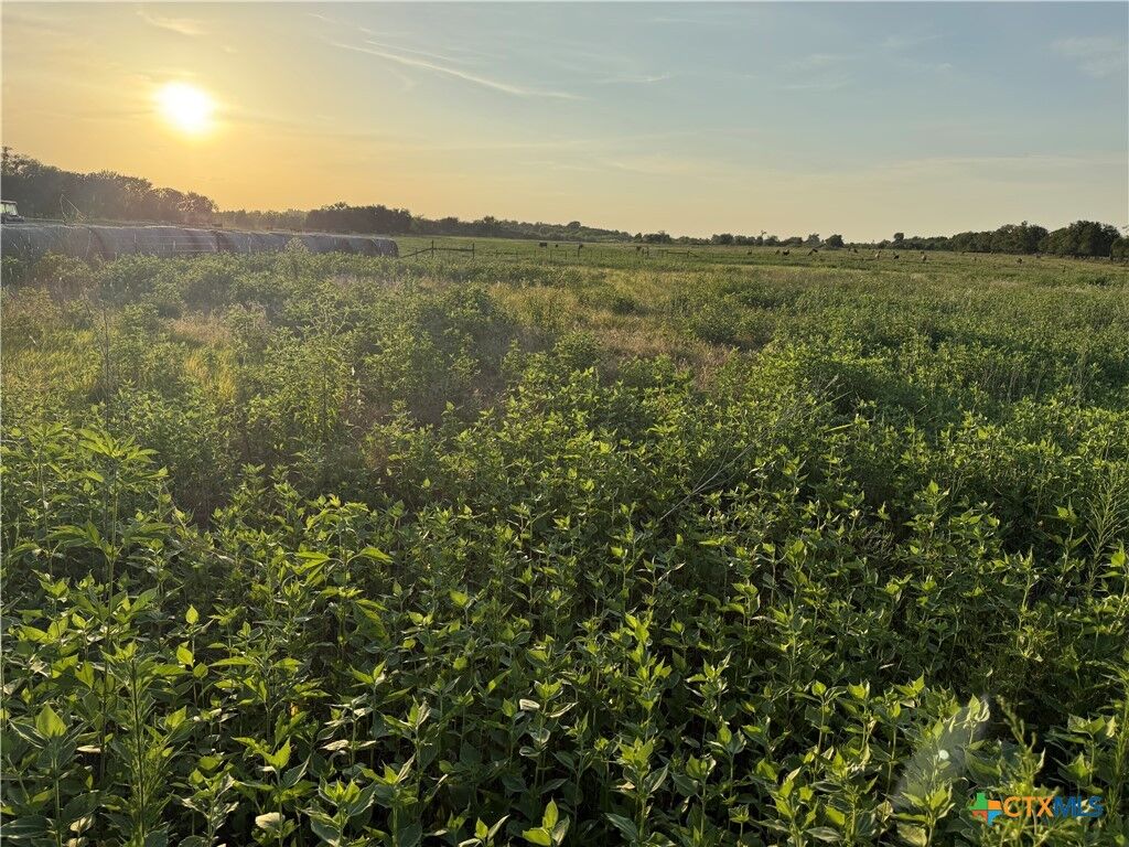 Property Photo:  153 County Road 243  TX 76653 