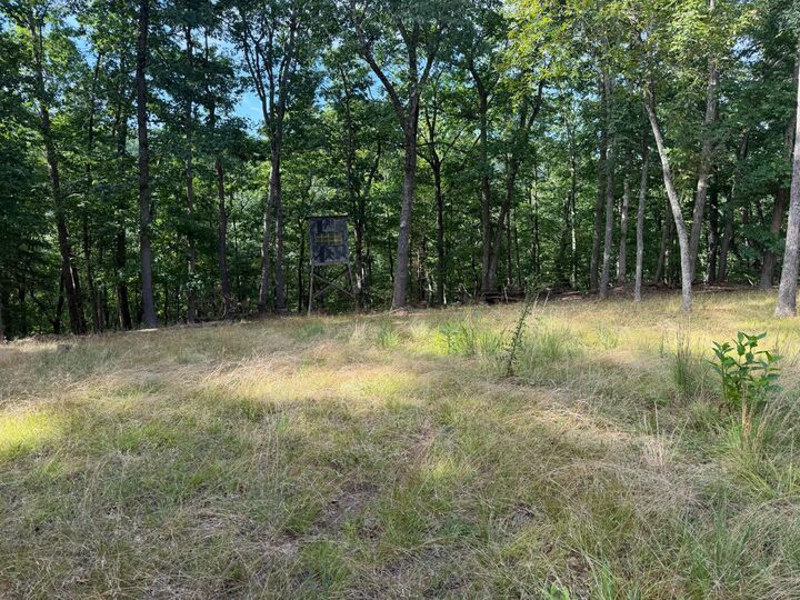 Property Photo: 572 Dameron Rd WV 24918