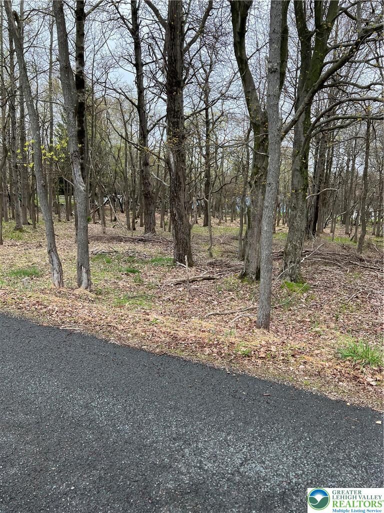 Property Photo:  255 Pontiac Path Trail 12  PA 18347 