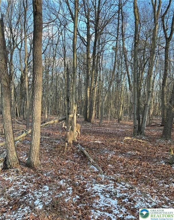 Property Photo: 124 Ash Drive PA 18334