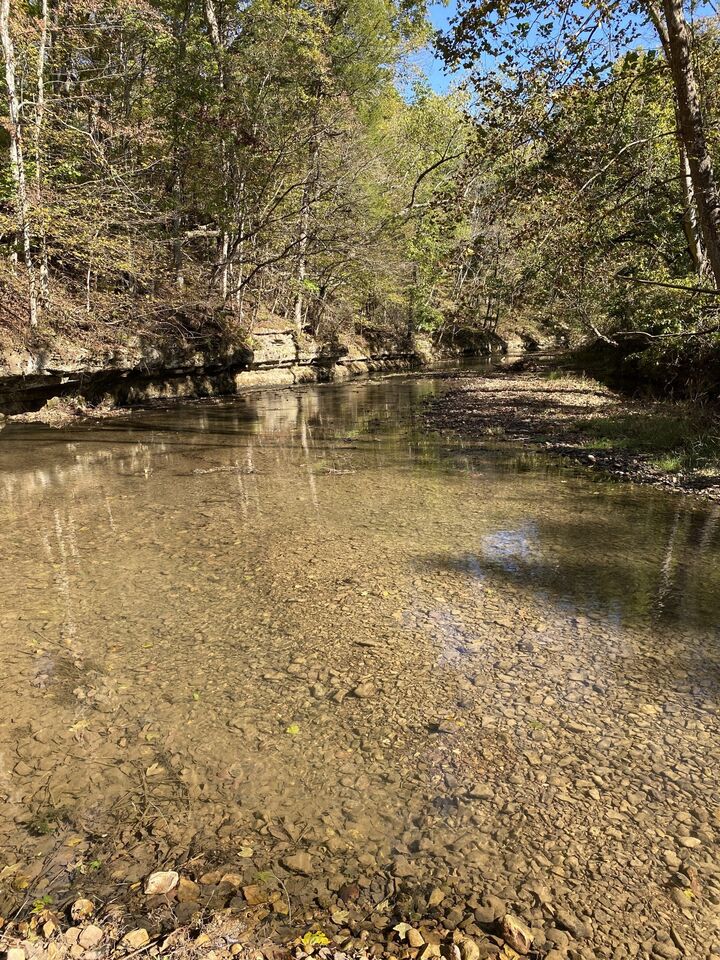 Property Photo: 901 Britton Springs Rd TN 37042