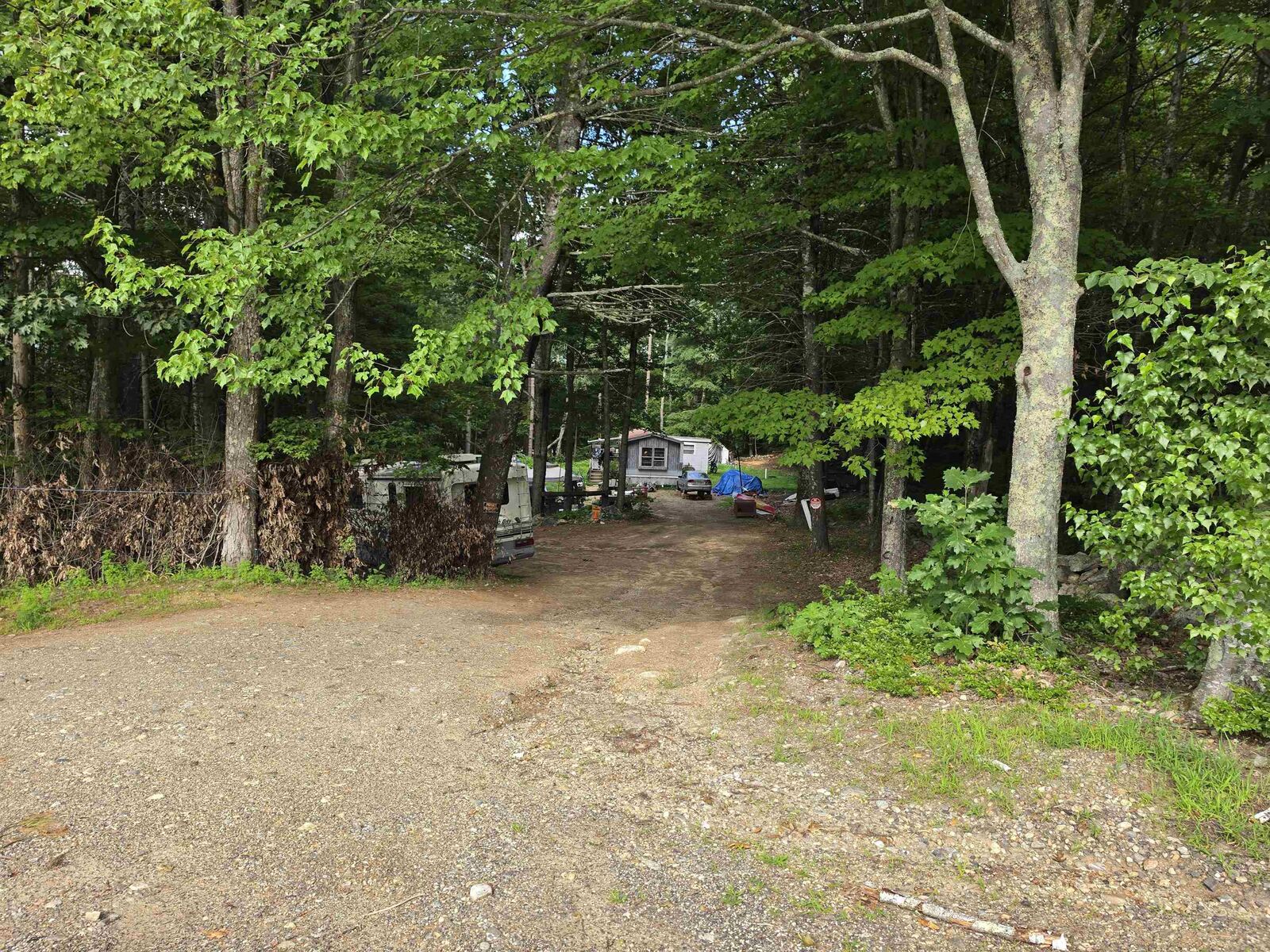 Property Photo:  251 Webster Mills Road  NH 03263 