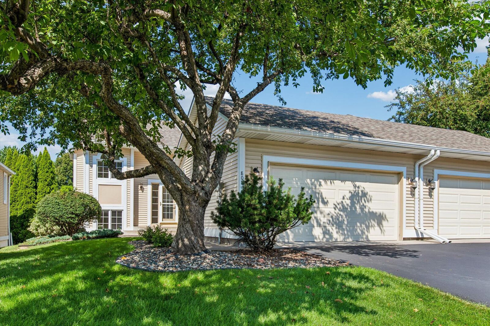 Property Photo:  808 Winterberry Drive  MN 55125 