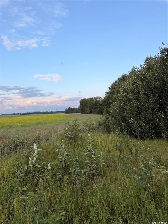 Property Photo:  Rural Address  SK S9X 1Y9 