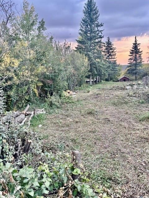 Photo de la propriété:  316 Evenson Avenue  SK S0K 4T1 