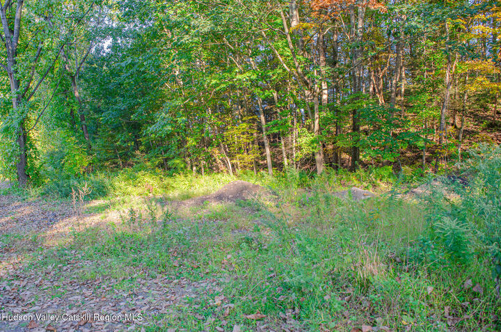 Property Photo:  37 Tiger Maple  NY 12477 