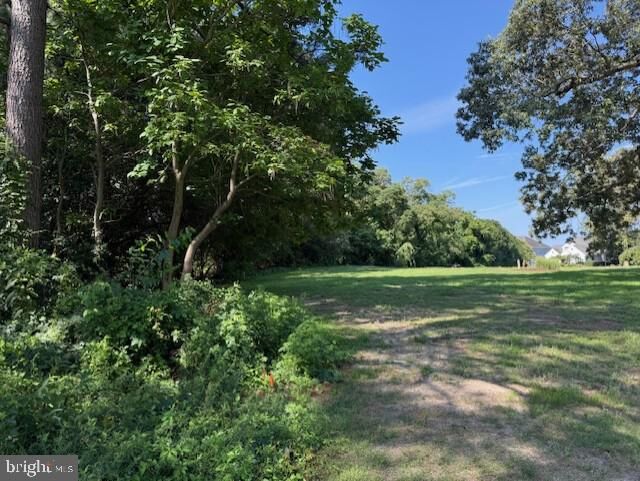 Property Photo:  0 Riverside Drive  MD 21801 