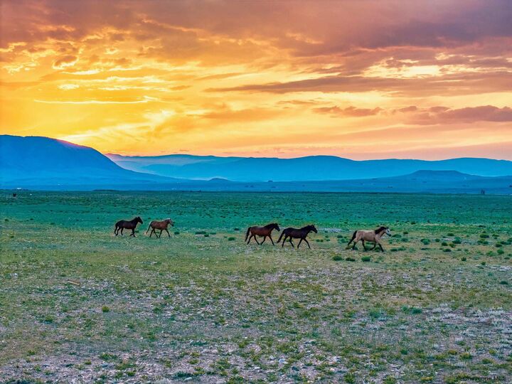 Property Photo: Tr 347 Wild Horse Ranch WY 82070
