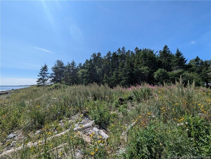Property Photo:  2.3 Acres Route 134  NB E8J 2E5 
