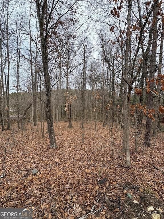 Property Photo: 0 Polk Avenue GA 30132