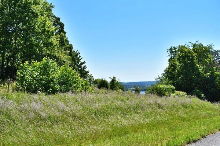 Property Photo: 0 Flint Ridge Road TN 37854