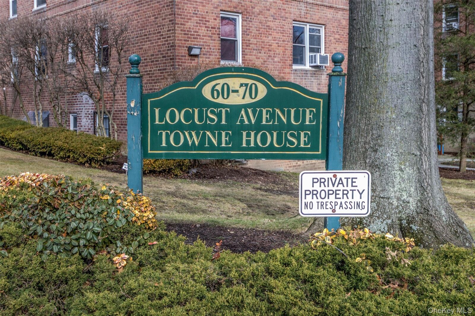 Property Photo: 60 Locust Avenue A-609 NY 10801