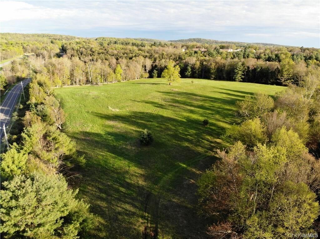 Property Photo:  00 Benmosche Road  NY 12701 