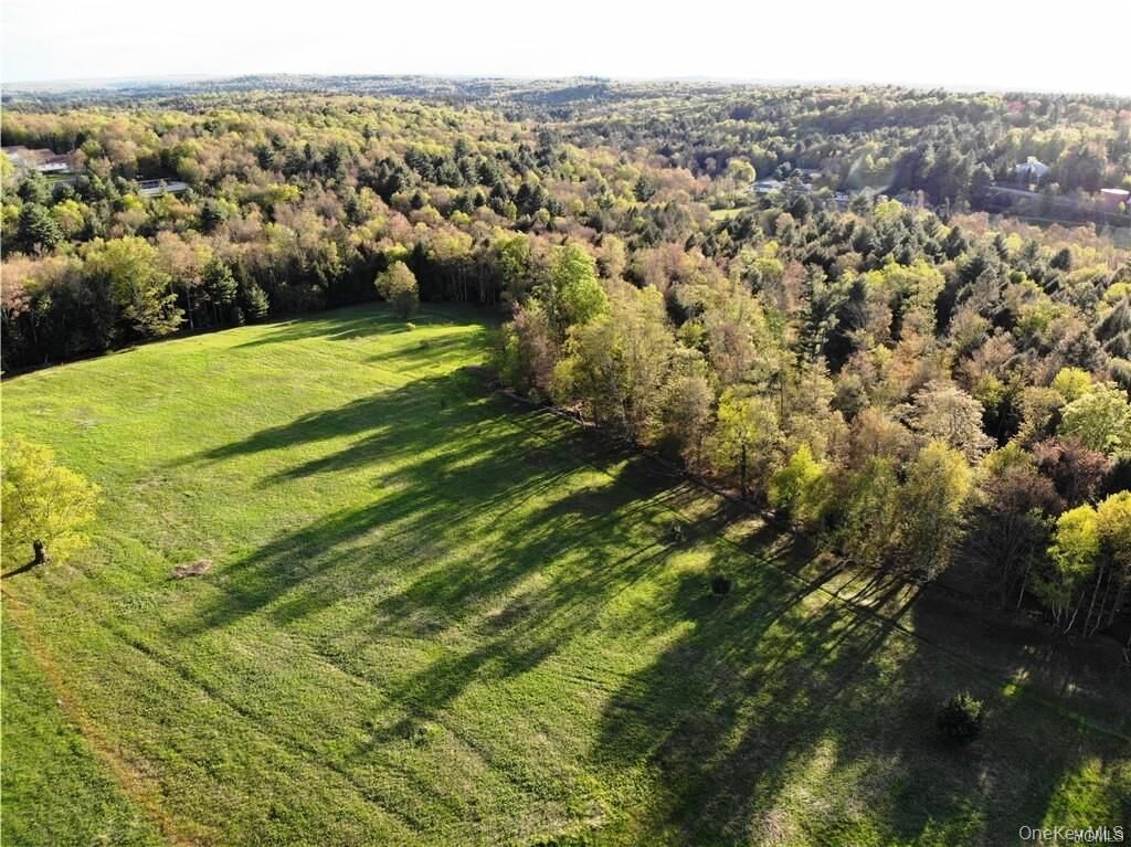 Property Photo:  00 Benmosche Road  NY 12701 