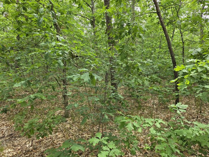 Property Photo:  V/L 10-13 W Oliver Road  MI 49304 