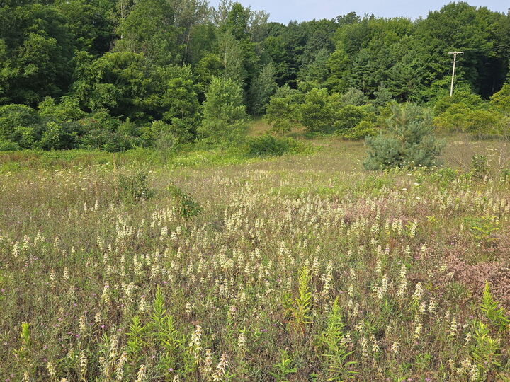 Property Photo: N 72nd Avenue MI 49420