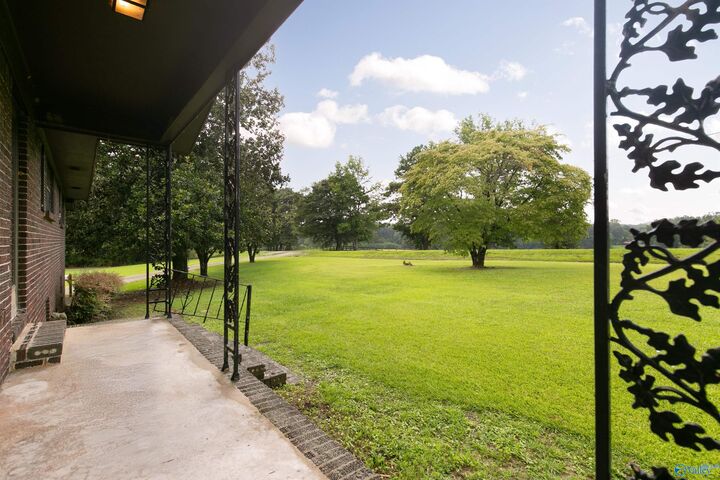 Property Photo:  9950 Alabama Highway 91  AL 35077 