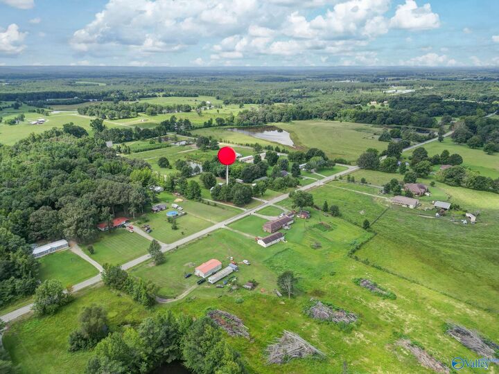 Property Photo: 11684 County Road 236 AL 35650