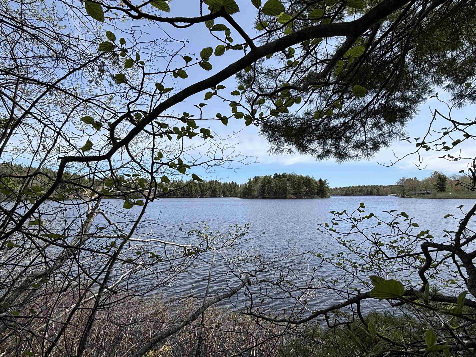 Property Photo:  Lot 6-23 Highway 325  NS B4V 8H3 
