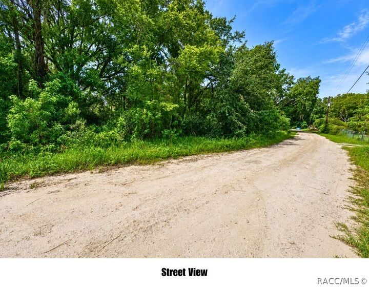 Property Photo:  0 Fern Street  FL 34654 