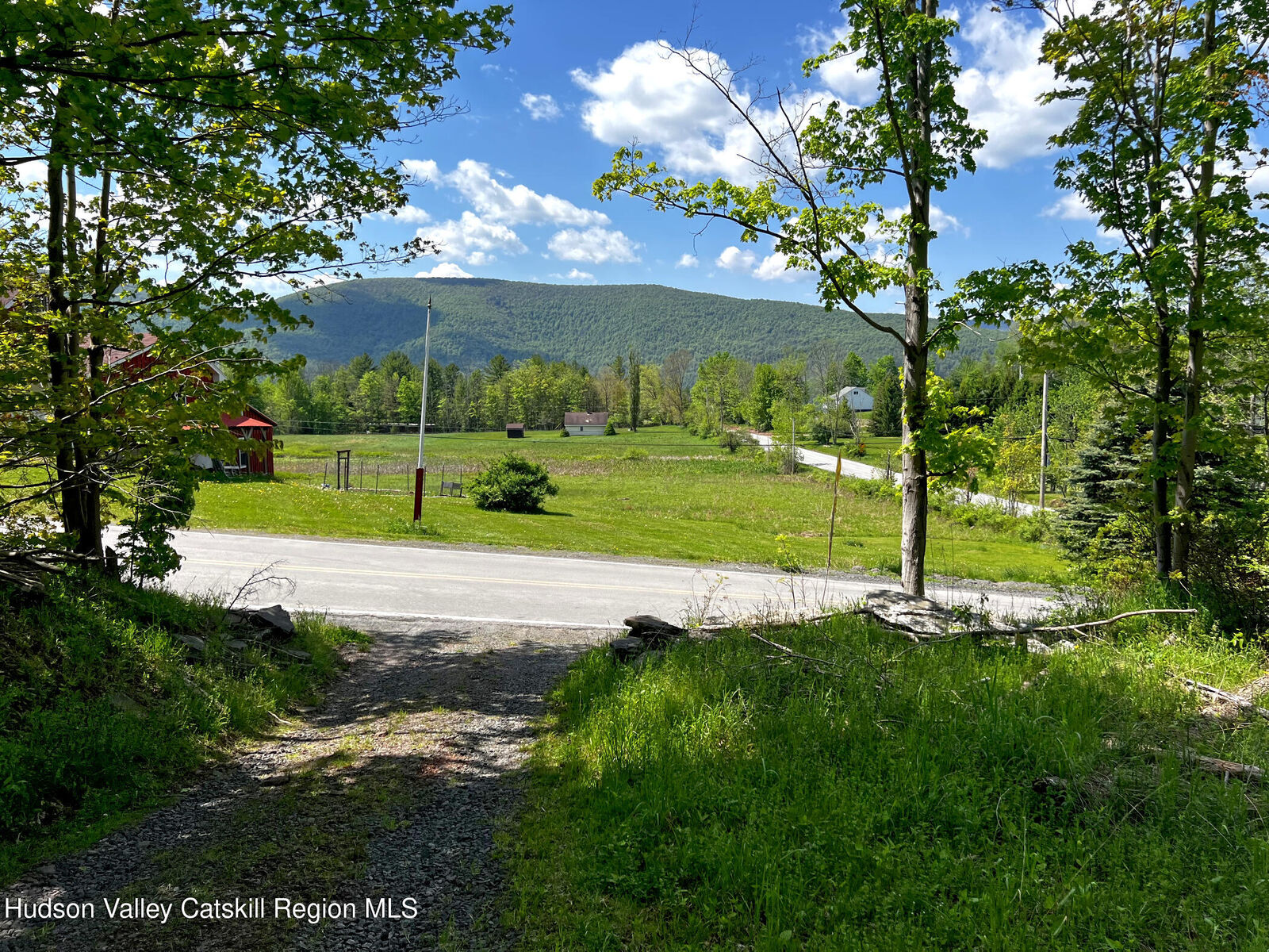 Property Photo:  443 County Road 13  NY 12468 