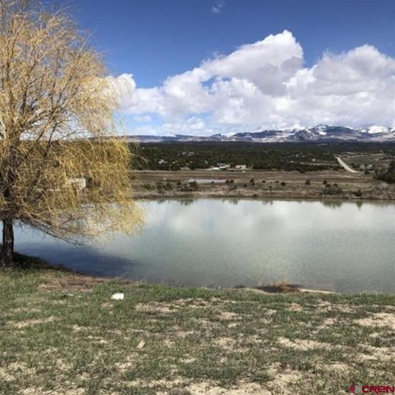 Property Photo: 37988 & 38014 Hwy 184 CO 81328