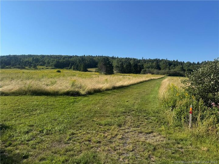 Property Photo:  Vacant Lot Big Salmon River Road  NB E5R 1K9 
