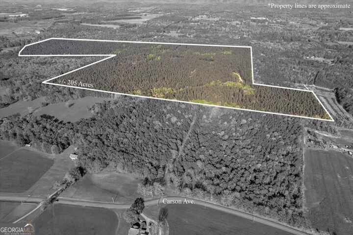 Property Photo:  205+ Ac Maddron Road  GA 30711 