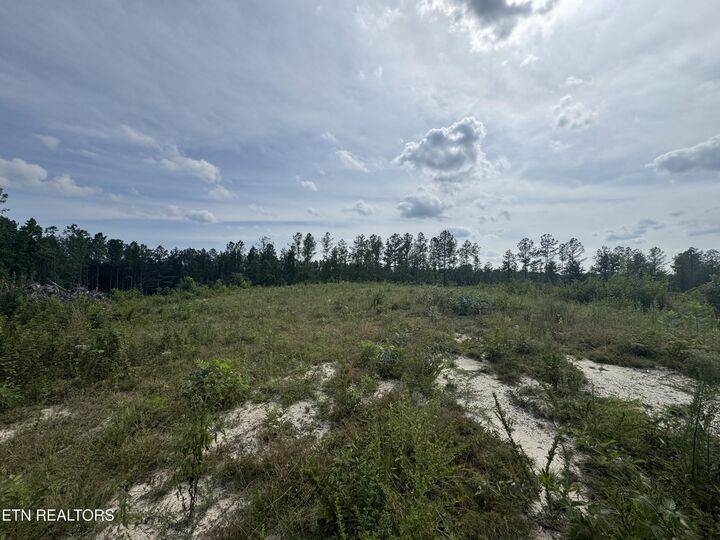 Property Photo: Lot #12 Burrville Rd TN 37872