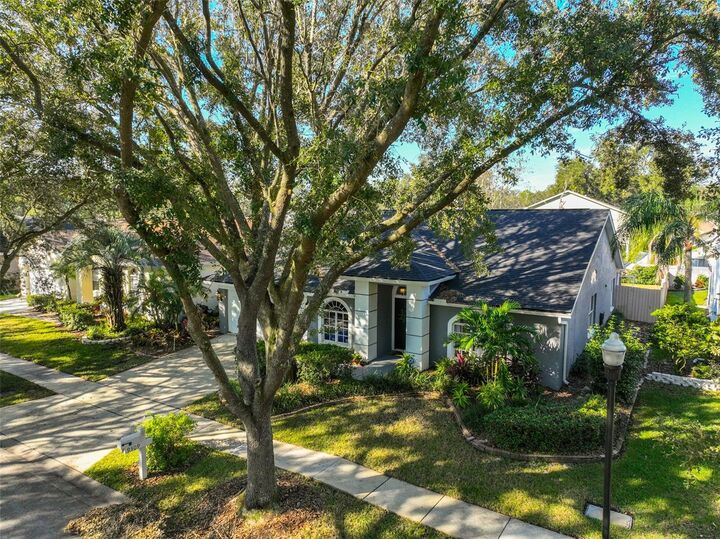 Property Photo:  9309 Hampshire Park Drive  FL 33647 