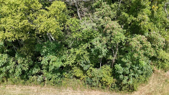 Property Photo:  0 Roy Dodson Rd  TN 38401 