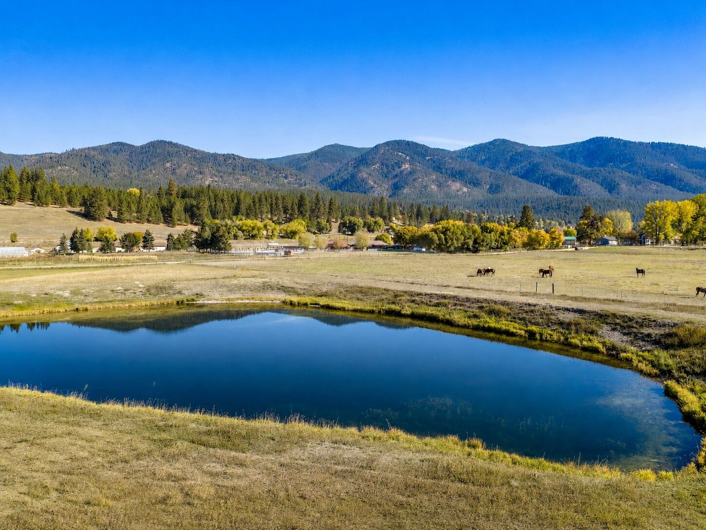 Property Photo: 16605 Fox Hill Drive MT 59834