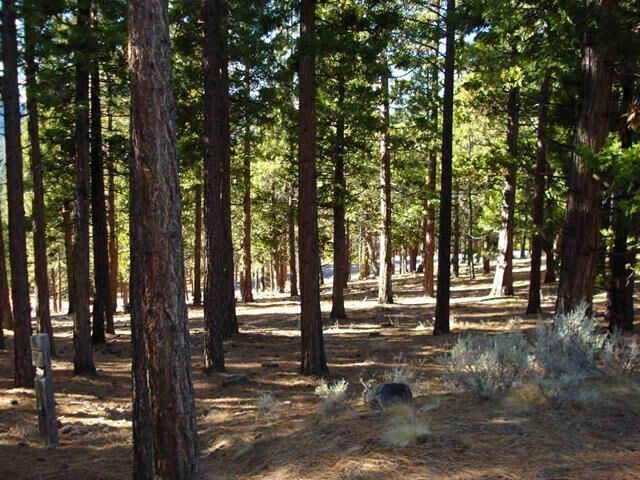 Property Photo:  296 Big Cedar Lane  CA 96122 
