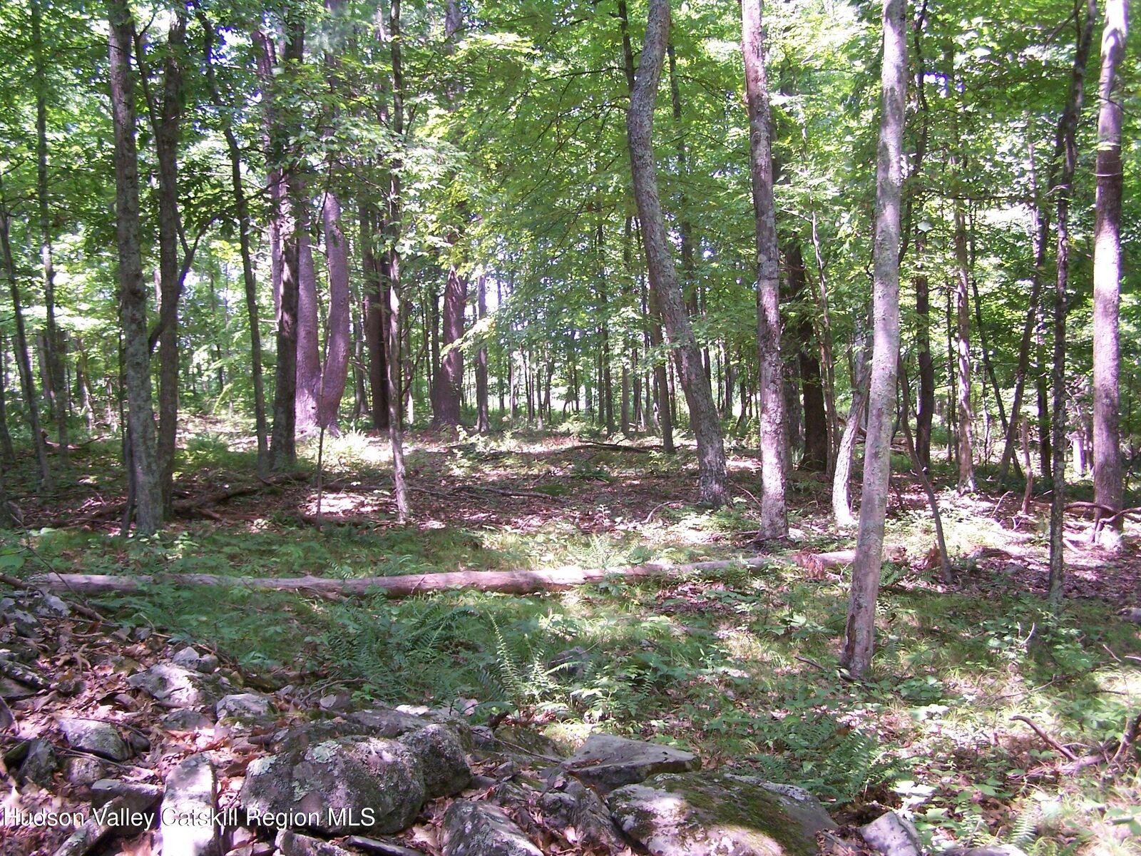 Property Photo:  110 Burleigh  NY 12561 