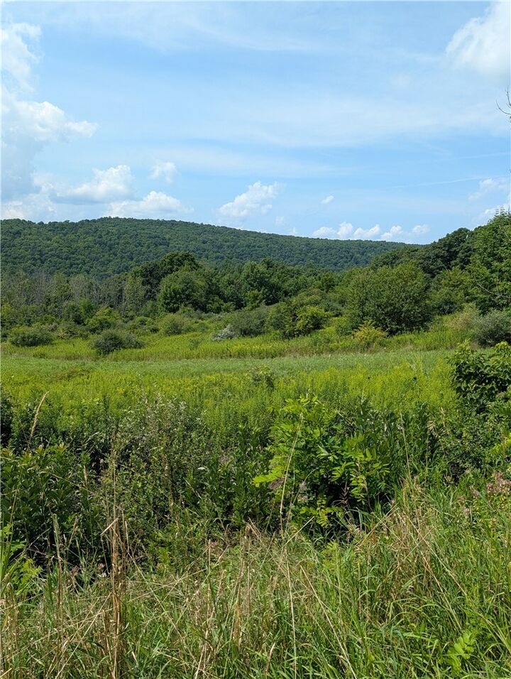 Property Photo: 0 Newtown Road NY 14869
