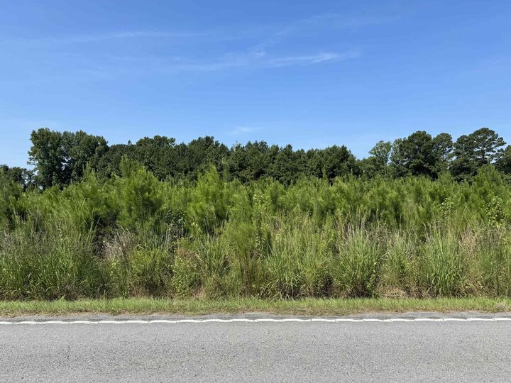 Property Photo:  Tbd Spring Branch Rd.  SC 29581 
