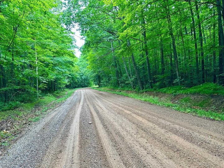Property Photo: Lot 3 Crane Foot Lake Road WI 54435