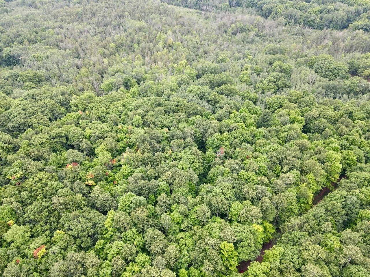 Property Photo: Lot 2 Crane Foot Lake Road WI 54435