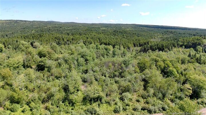 - Old Gardner Creek Road — photo 1