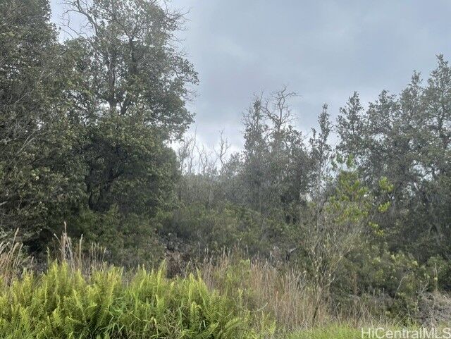 Property Photo:  92-2232 Palm Parkway  HI 96737 